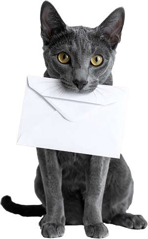 お問い合わせボタン